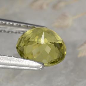 Tourmaline jaune naturelle coupe roude, 0,72 ct, VVS-VS