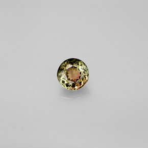 Tourmaline multicolore naturelle coupe roude, 0,55 ct, VVS-VS
