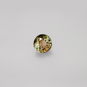 Tourmaline multicolore naturelle coupe roude, 0,55 ct, VVS-VS