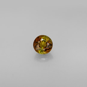 Tourmaline multicolore naturelle coupe roude, 0,61 ct, VVS