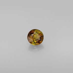 Tourmaline multicolore naturelle coupe roude, 0,61 ct, VVS
