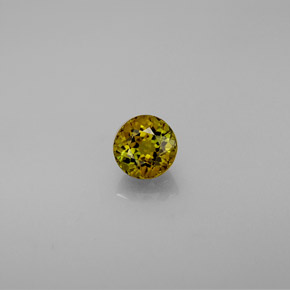 Tourmaline multicolore naturelle coupe roude, 0,62 ct, VVS
