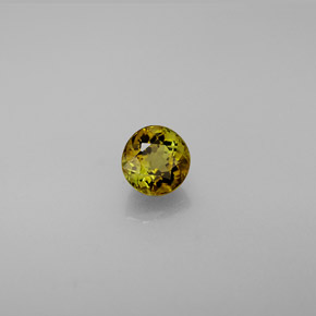 Tourmaline multicolore naturelle coupe roude, 0,62 ct, VVS