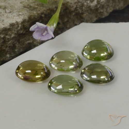 Shop natural 5.25ct Multicolore Tourmaline gems, ovale, from Mozambique at GemSelect. In stock, global shipping!