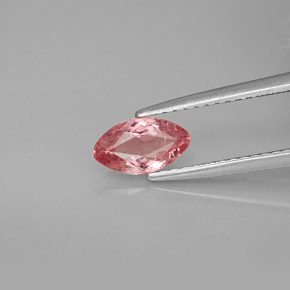 Tourmaline rose naturelle marquise, 0,70 ct, VS-SI