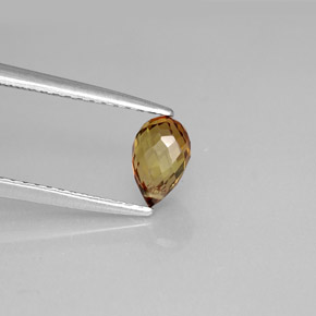 Tourmaline marron naturelle briolette, 0,73 ct, VVS-VS