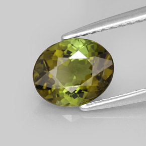 Tourmaline multicolore naturelle coupe ovale, 1,34 ct, VS