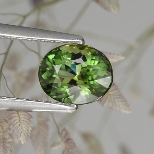 Tourmaline vert naturelle coupe ovale, 1,17 ct, VVS-VS