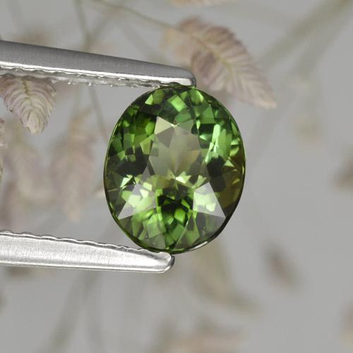 Tourmaline vert naturelle coupe ovale, 1,17 ct, VVS-VS
