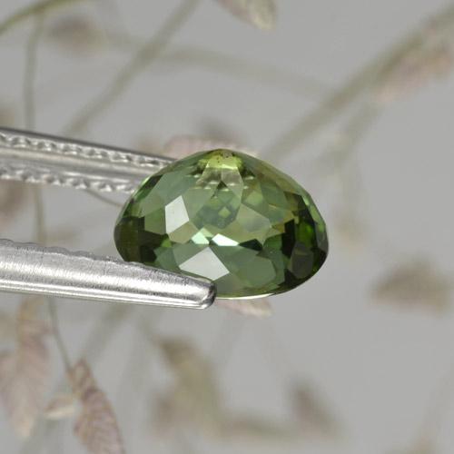Tourmaline vert naturelle coupe ovale, 1,17 ct, VVS-VS