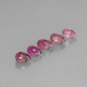 Achetez naturel ct multicolore tourmaline gems, briolette, en provenance mozambique chez gemselect. en stock, livraison internationale!