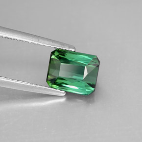 Tourmaline vert naturelle taille émeraude, 1,64 ct, VVS