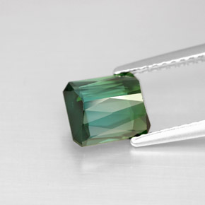 Tourmaline vert naturelle taille émeraude, 1,68 ct, VS