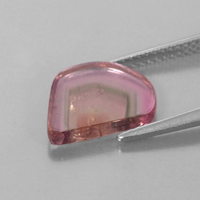 Tourmaline multicolore naturelle transparent, 2,74 ct, transparent / translucide