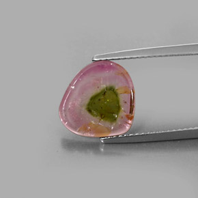 Tourmaline multicolore naturelle transparent, 3,49 ct, transparent / translucide
