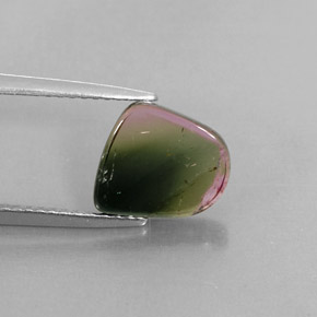Tourmaline multicolore naturelle transparent, 2,24 ct, transparent / translucide