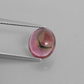 Tourmaline multicolore naturelle transparent, 3,33 ct, transparent / translucide