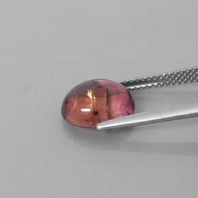 Tourmaline multicolore naturelle transparent, 3,33 ct, transparent / translucide
