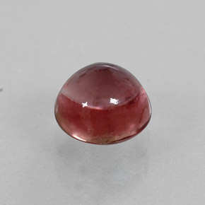 Tourmaline multicolore naturelle coupe roude, 1,15 ct, transparent