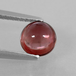 Tourmaline multicolore naturelle coupe roude, 1,15 ct, transparent