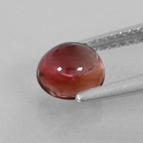 Tourmaline multicolore naturelle coupe roude, 1,15 ct, transparent