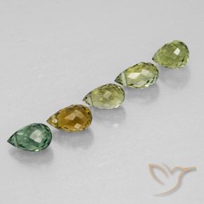 Shop natural 2.45ct Multicolore Tourmaline gems, Briolette, from Mozambique at GemSelect. In stock, global shipping!