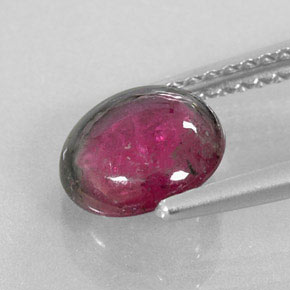 Tourmaline multicolore naturelle coupe roude, 1,41 ct, translucide
