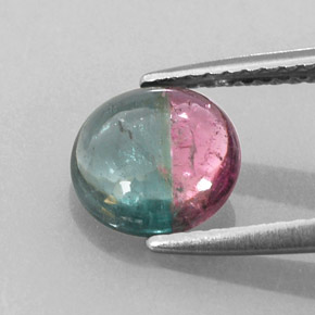 Tourmaline multicolore naturelle coupe roude, 1,46 ct, transparent