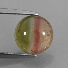 Tourmaline multicolore naturelle transparent, 1,86 ct, transparent / translucide