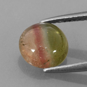 Tourmaline multicolore naturelle transparent, 1,86 ct, transparent / translucide