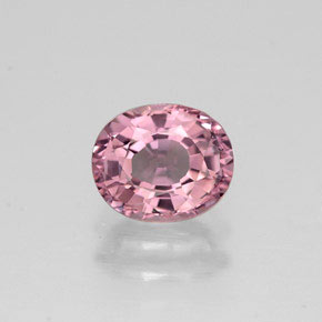 Tourmaline multicolore naturelle coupe ovale, 0,85 ct, VVS