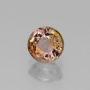 Tourmaline multicolore naturelle coupe roude, 0,60 ct, VVS-VS