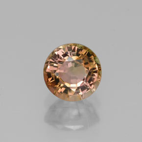 Tourmaline multicolore naturelle coupe roude, 0,60 ct, VVS-VS