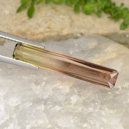 Tourmaline bicolore naturelle taille émeraude, 4,87 ct, VVS-VS