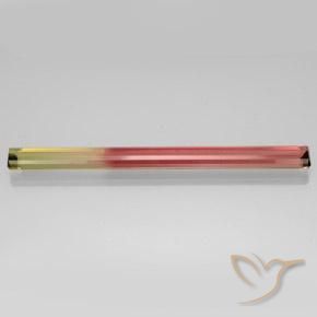 Tourmaline Bicolore naturelle Octogone / coupe Émeraude, 17.35 ct, VVS