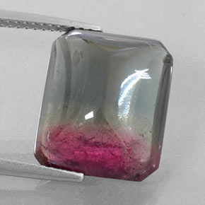 Tourmaline bicolore naturelle transparent, 12,38 ct, transparent / translucide