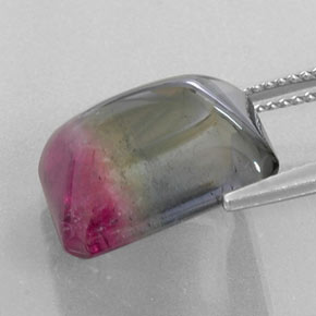 Tourmaline bicolore naturelle transparent, 12,38 ct, transparent / translucide