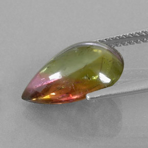 Tourmaline multicolore naturelle transparent, 4,43 ct, transparent / translucide