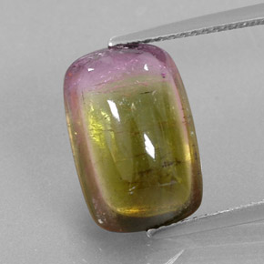 Tourmaline bicolore naturelle transparent, 6,64 ct, transparent / translucide