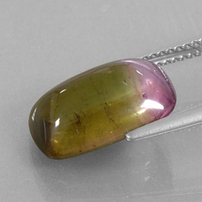 Tourmaline bicolore naturelle transparent, 6,64 ct, transparent / translucide