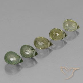 Shop natural 2.91ct Vert forêt léger Tourmaline gems, Briolette, from Mozambique at GemSelect. In stock, global shipping!