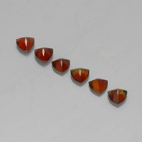 Achetez naturel 1,48ct multicolore tourmaline gems, trillion, en provenance mozambique chez gemselect. en stock, livraison internationale!