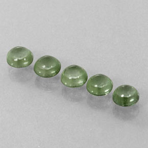 Achetez naturel ct vert tourmaline gems, coupe roude, en provenance mozambique chez gemselect. en stock, livraison internationale!