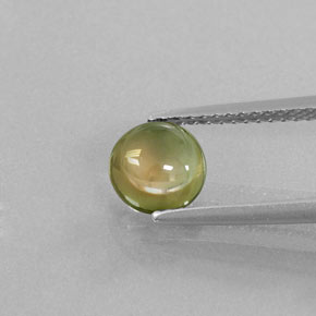 Tourmaline multicolore naturelle coupe roude, 1,30 ct, transparent