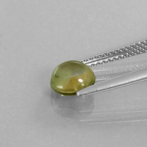 Tourmaline multicolore naturelle coupe roude, 1,30 ct, transparent