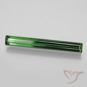 Tourmaline Vert forêt frais naturelle Octogone / coupe Émeraude, 3.19 ct, VVS