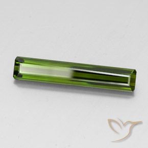 Tourmaline Vert foncé naturelle Octogone / coupe Émeraude, 3.28 ct, VVS-VS