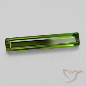 Tourmaline Vert foncé naturelle Octogone / coupe Émeraude, 2.34 ct, VVS