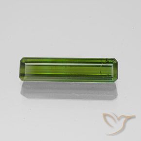 1.45ct Naturel Forêt verte Tourmaline, Taille émeraude, SI