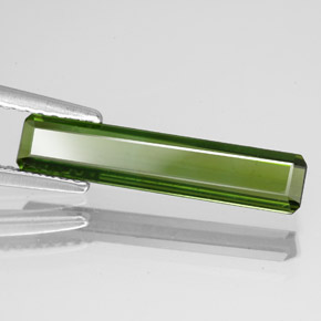 Tourmaline vert naturelle taille émeraude, 1,51 ct, VS